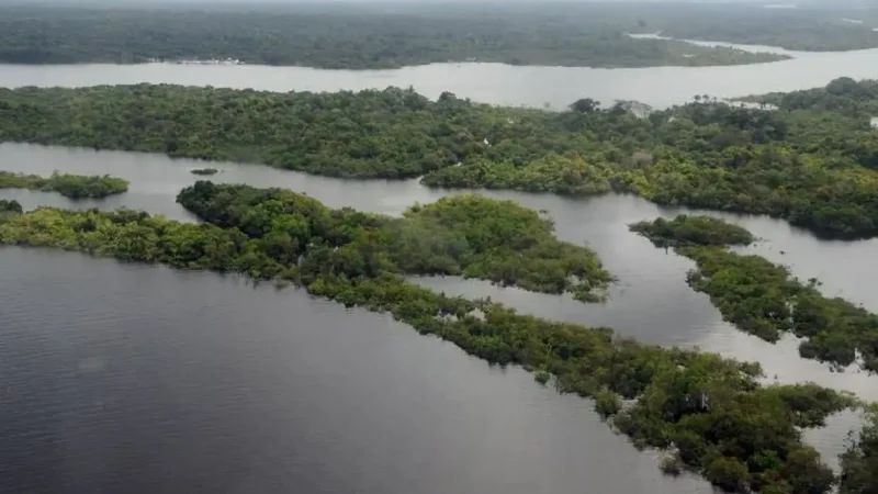 Amazônia: Impacto da degradação vai além do desmatamento
