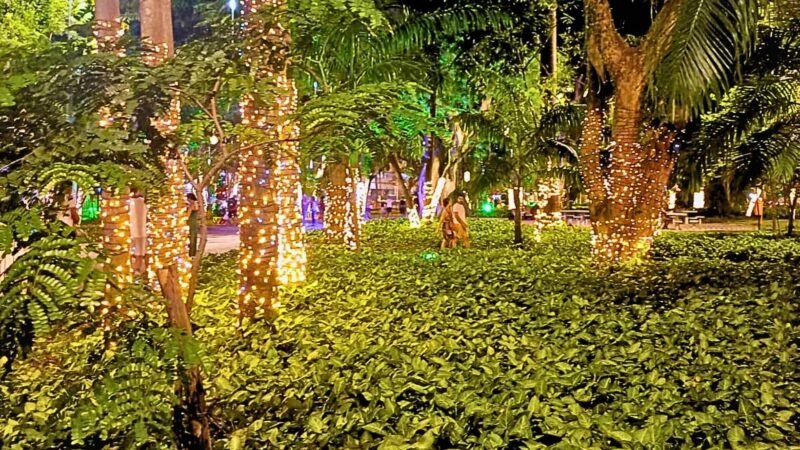 Natal no Campo de São Bento tem programação especial