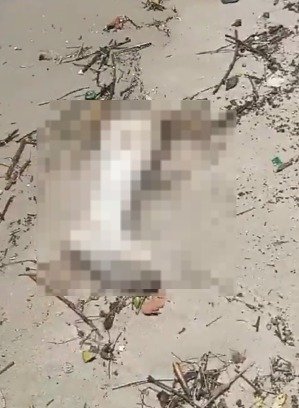 Cadáver em decomposição é achado em praia de Niterói