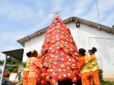 Clin celebra Natal com árvore sustentável