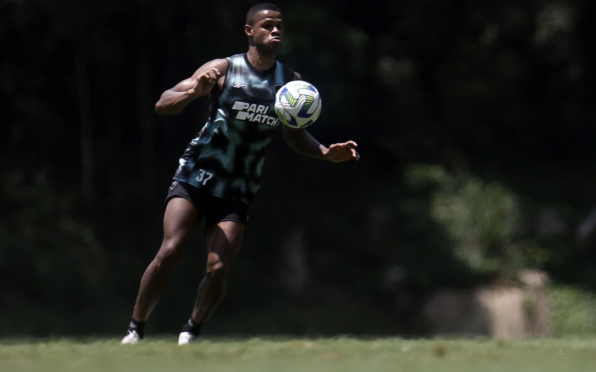 Corinthians e Grêmio tem interesse em Júnior Santos do Botafogo