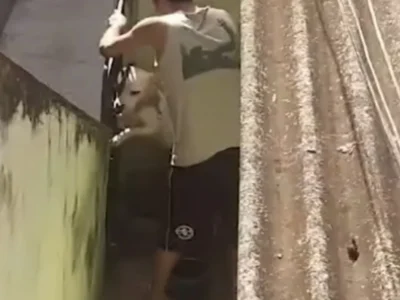 Homem é preso por espancar cachorro em São Gonçalo