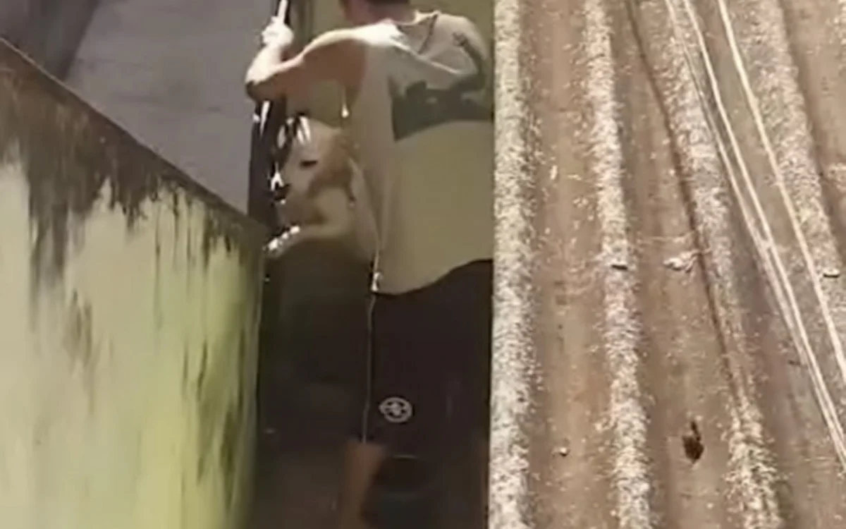 Homem é preso por espancar cachorro em São Gonçalo