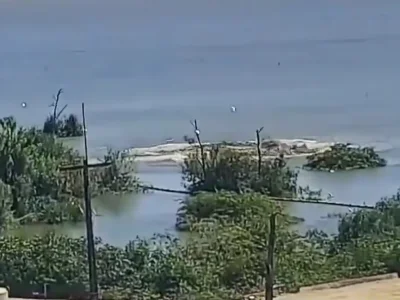 Alagoas: governo estuda transformar área da Braskem em parque estadual