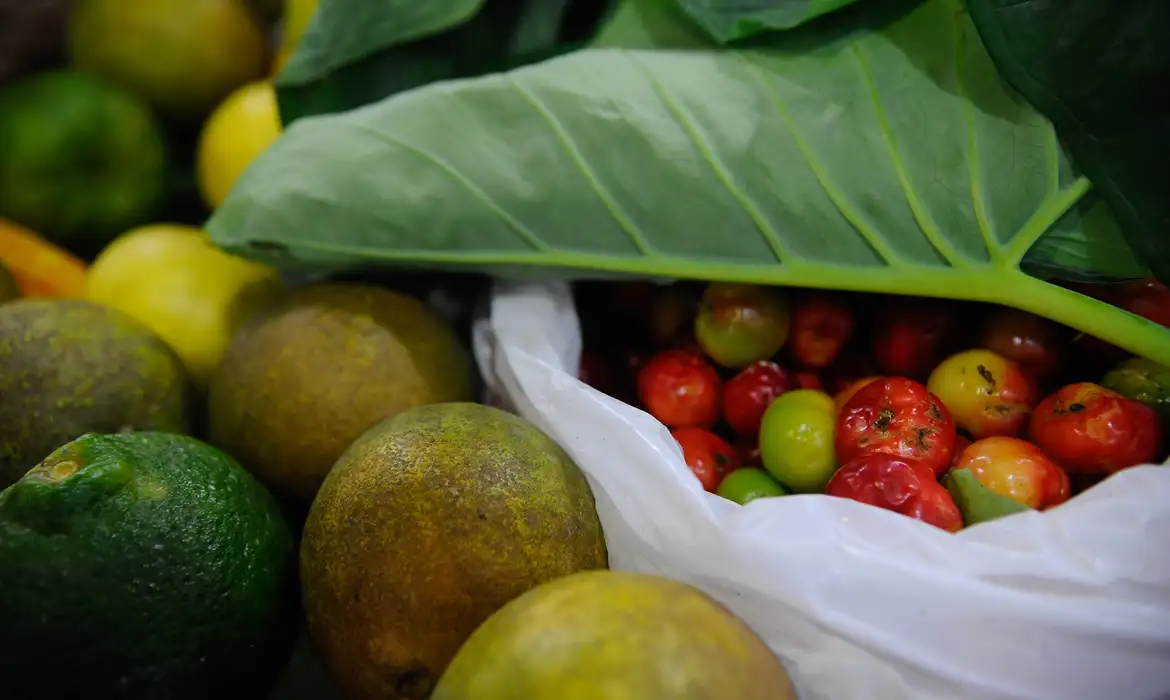 Registro de novos agrotóxicos segue em alta no Brasil