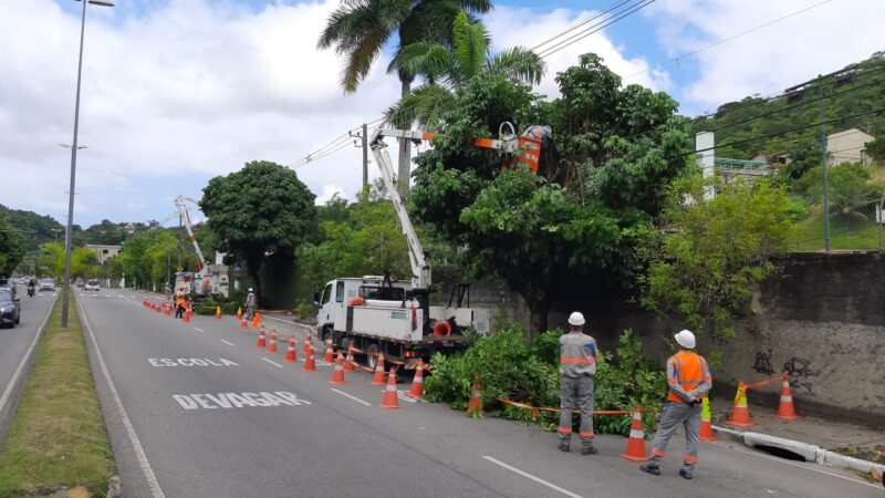 Após apagões, árvores recebem poda em Niterói