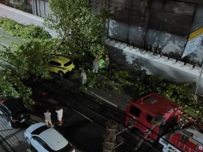 Táxi é atingido por árvore na Tijuca