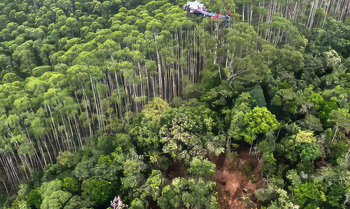 Vegetação pode ter causado queda de helicóptero em Paraibuna