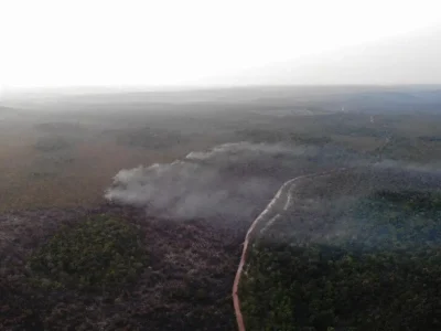 Devastação: área queimada no Brasil cresce 248% em janeiro