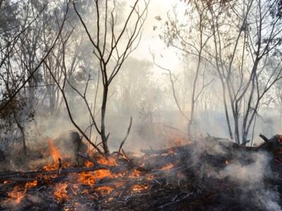 Roraima concentra 22% das queimadas do Brasil