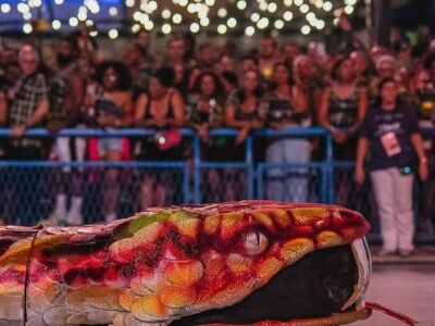 Artista revela segredo da misteriosa cobra da Viradouro - VÍDEO