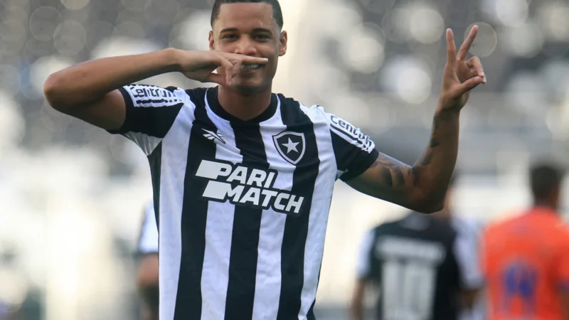 Botafogo: Janderson poderá jogar contra o Sampaio Corrêa