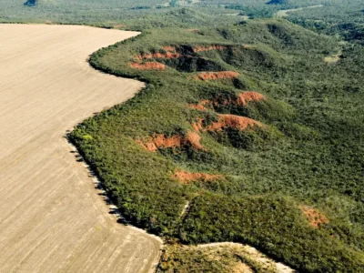 Desmatamento no Cerrado cresce 19% em fevereiro