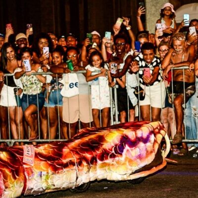 Viradouro transforma Amaral Peixoto em Sapucaí - VÍDEO