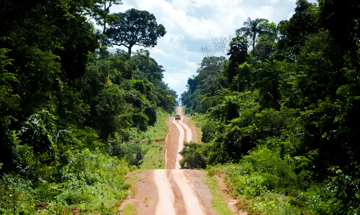 Amazônia: Impacto da degradação vai além do desmatamento