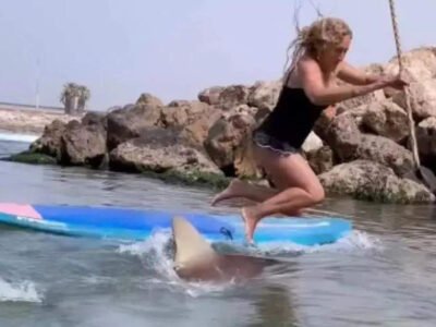 Mulher cai em cima de tubarão - Vídeo