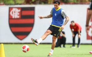 Pedro é o "homem gol" do Flamengo: 41% dos gols na temporada