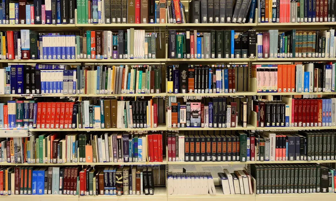 Sistema Nacional de Bibliotecas Escolares é criado por lei