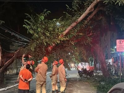 Mais uma árvore cai na Zona Sul de Niterói