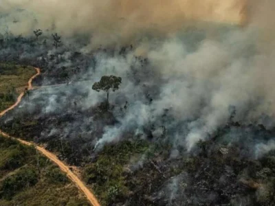 Brasil registra recorde de focos de queimada em 2024