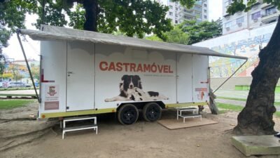 Castração gratuita para cães e gatos em Niterói