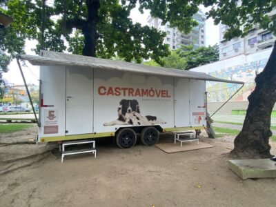 Castração gratuita para cães e gatos em Niterói