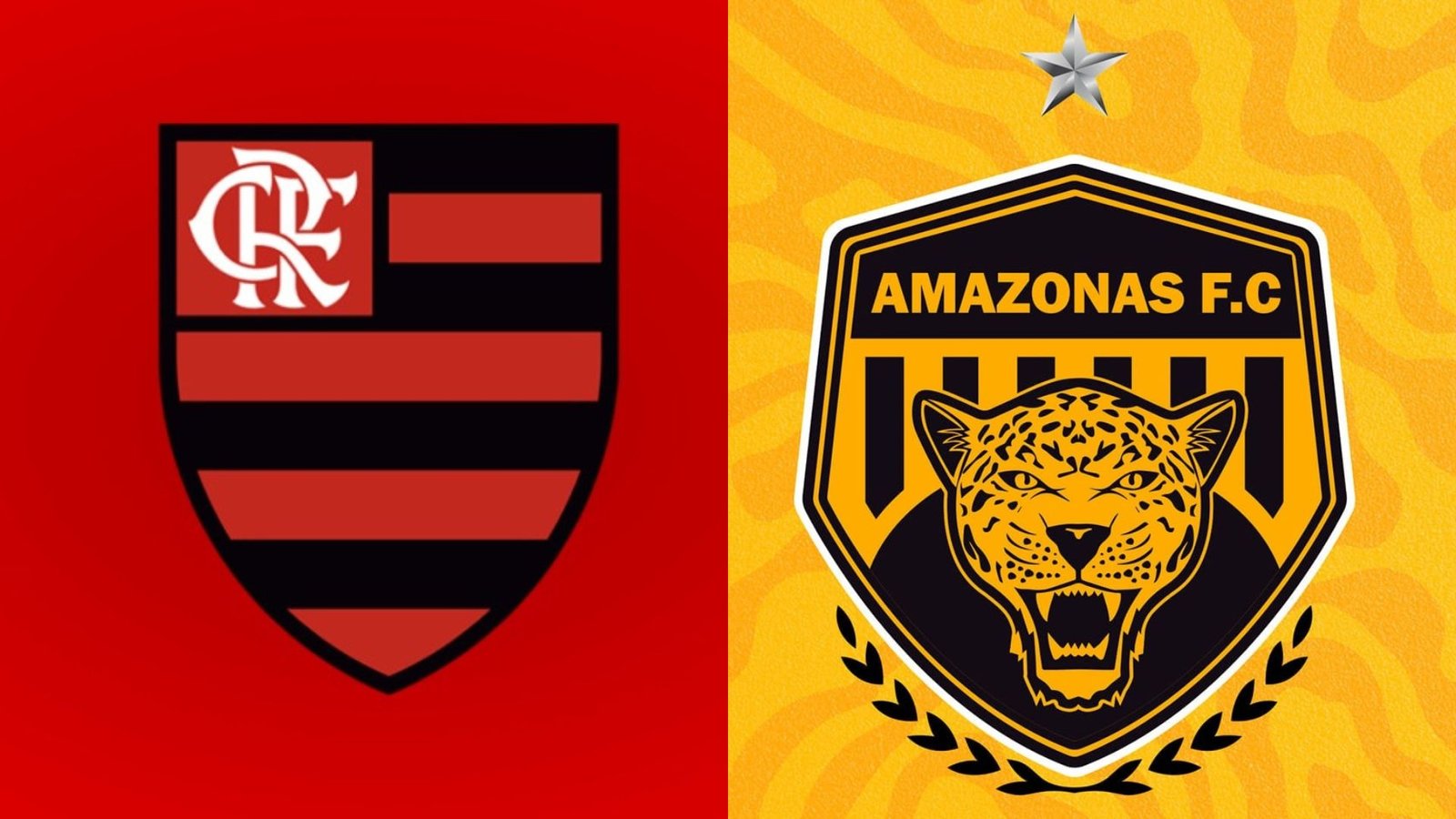 Flamengo x Amazonas: informações, escalações, onde assistir