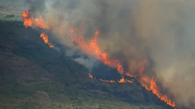Vegetação de Niterói sofre 70 incêndios em abril