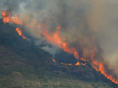 Vegetação de Niterói sofre 70 incêndios em abril