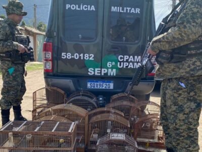 Homem é preso por maus-tratos a animais em Maricá