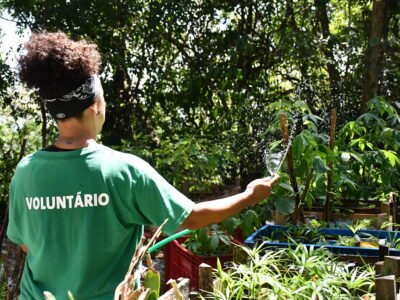 Niterói refloresta restingas e preserva o meio ambiente