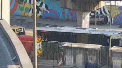 Ônibus atropela mulher na Avenida Brasil