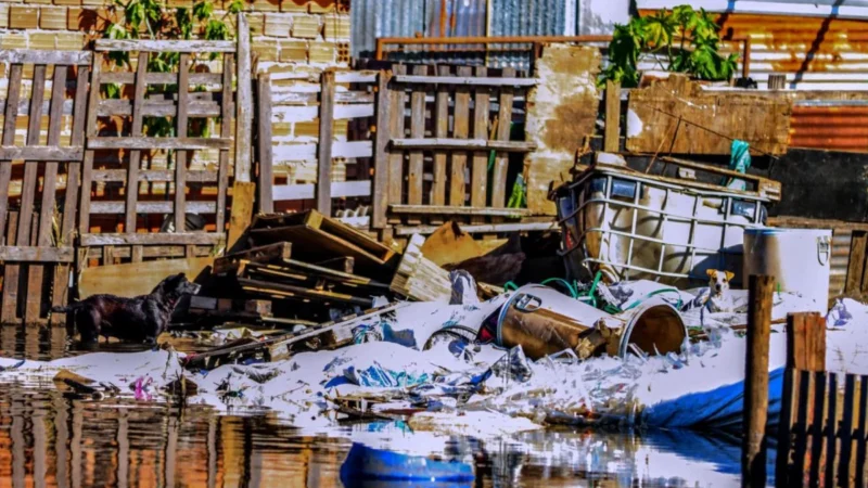 RS: Engenheiros de outros estados ajudam vistorias de imóveis