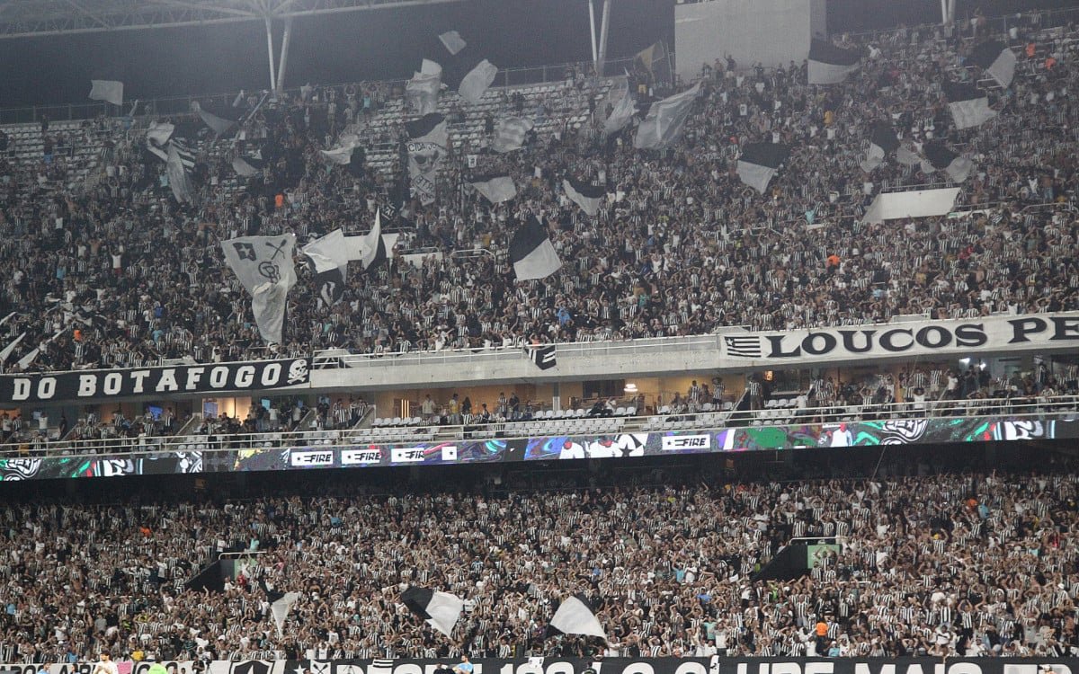 Botafogo quebra recorde de público em vitória sobre o Palmeiras