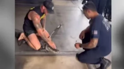 Lutador de MMA salva bombeiros de jacaré - Vídeo