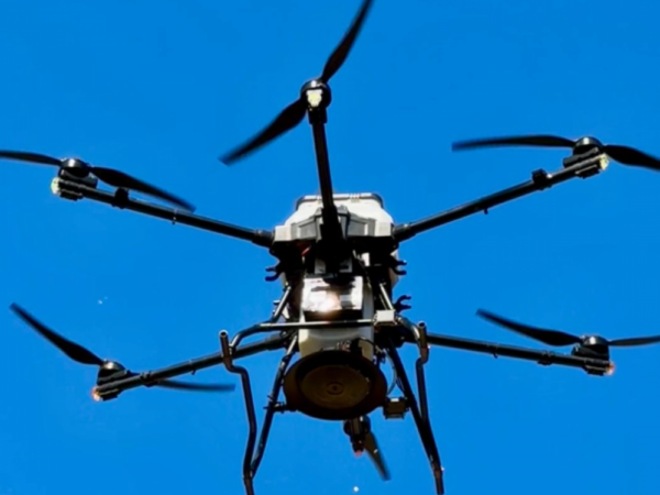 Reflorestamento aéreo: Campo Grande utiliza drones para tarefa
