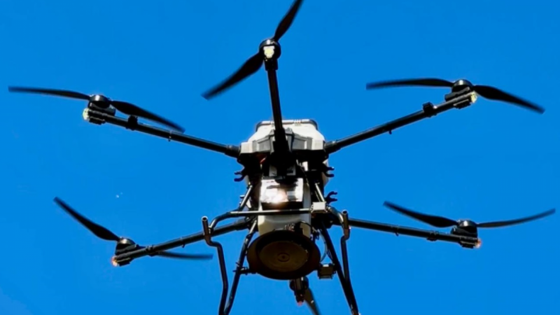 Reflorestamento aéreo: Campo Grande utiliza drones para tarefa