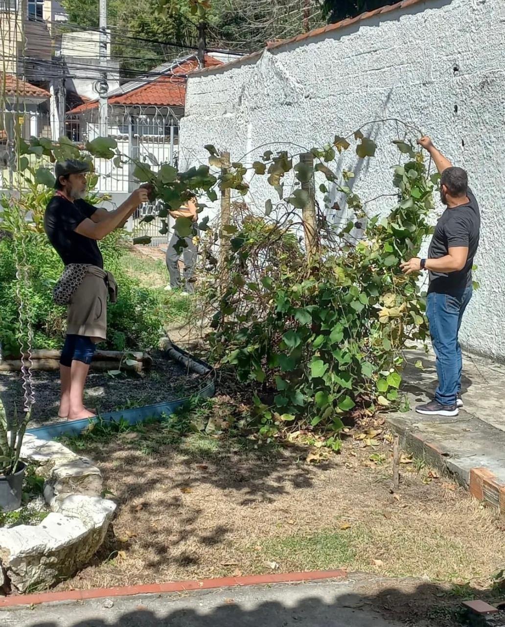 Cultivando Vidas: Jardim transforma vidas em Niterói