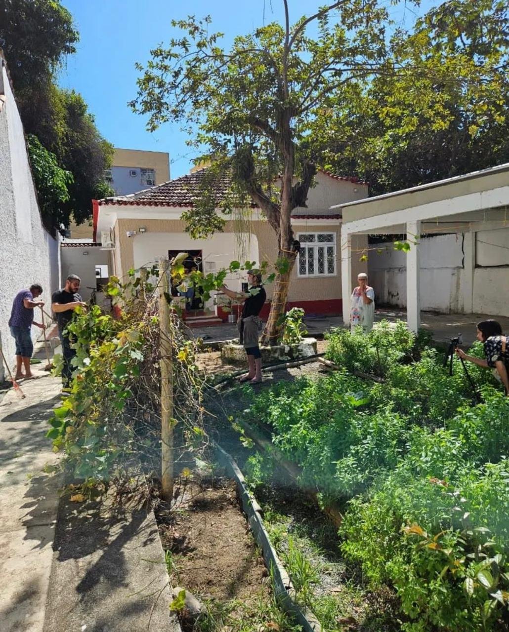 Cultivando Vidas: Jardim transforma vidas em Niterói