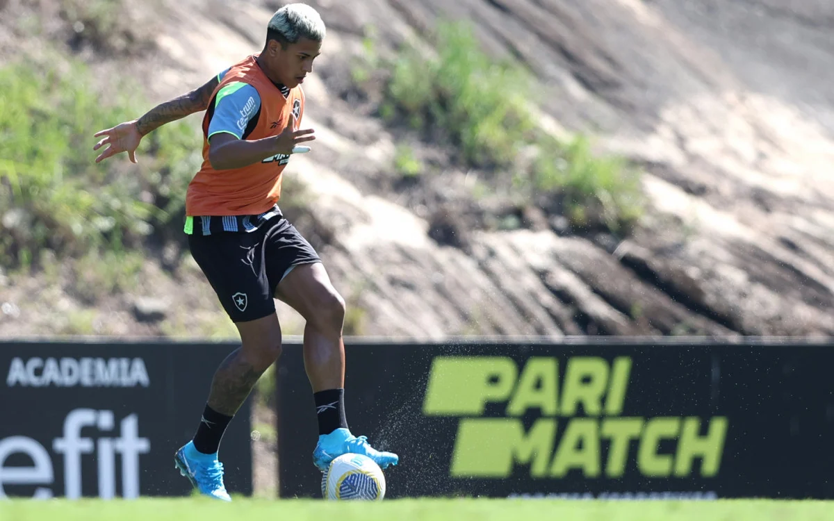 Matheus Martins celebra vitória do Botafogo