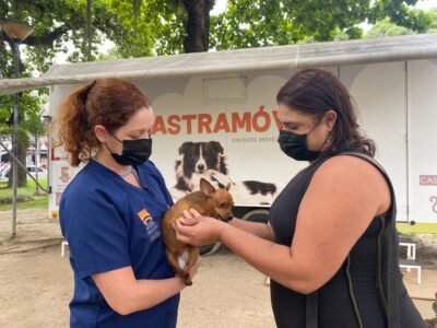 Niterói: Castração gratuita para cães e gato