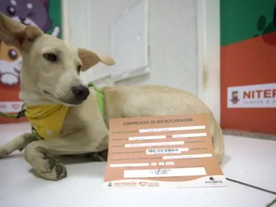 Niterói oferece serviços gratuitos para pets