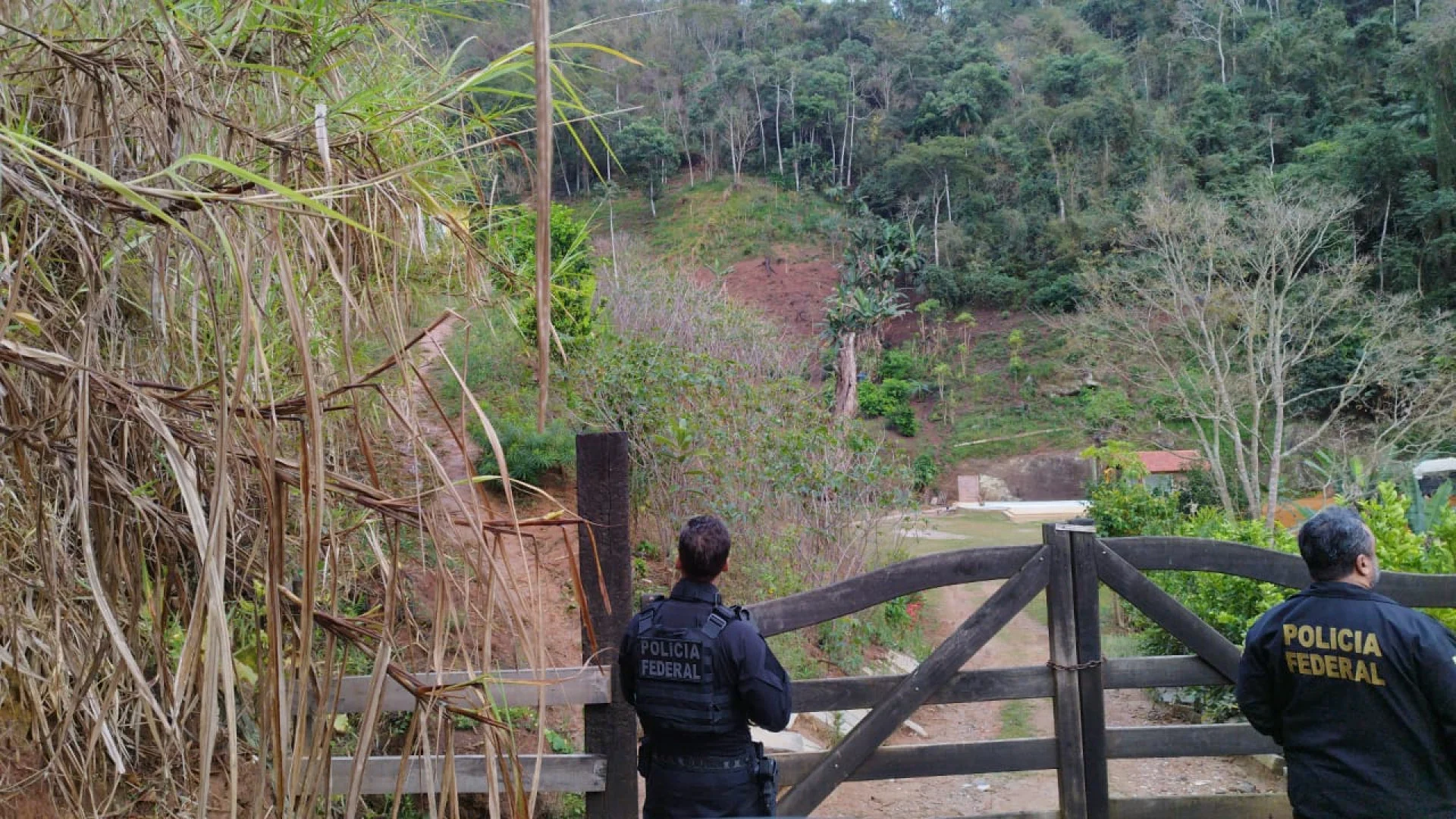 PF prende homem por compra ilegal de armas