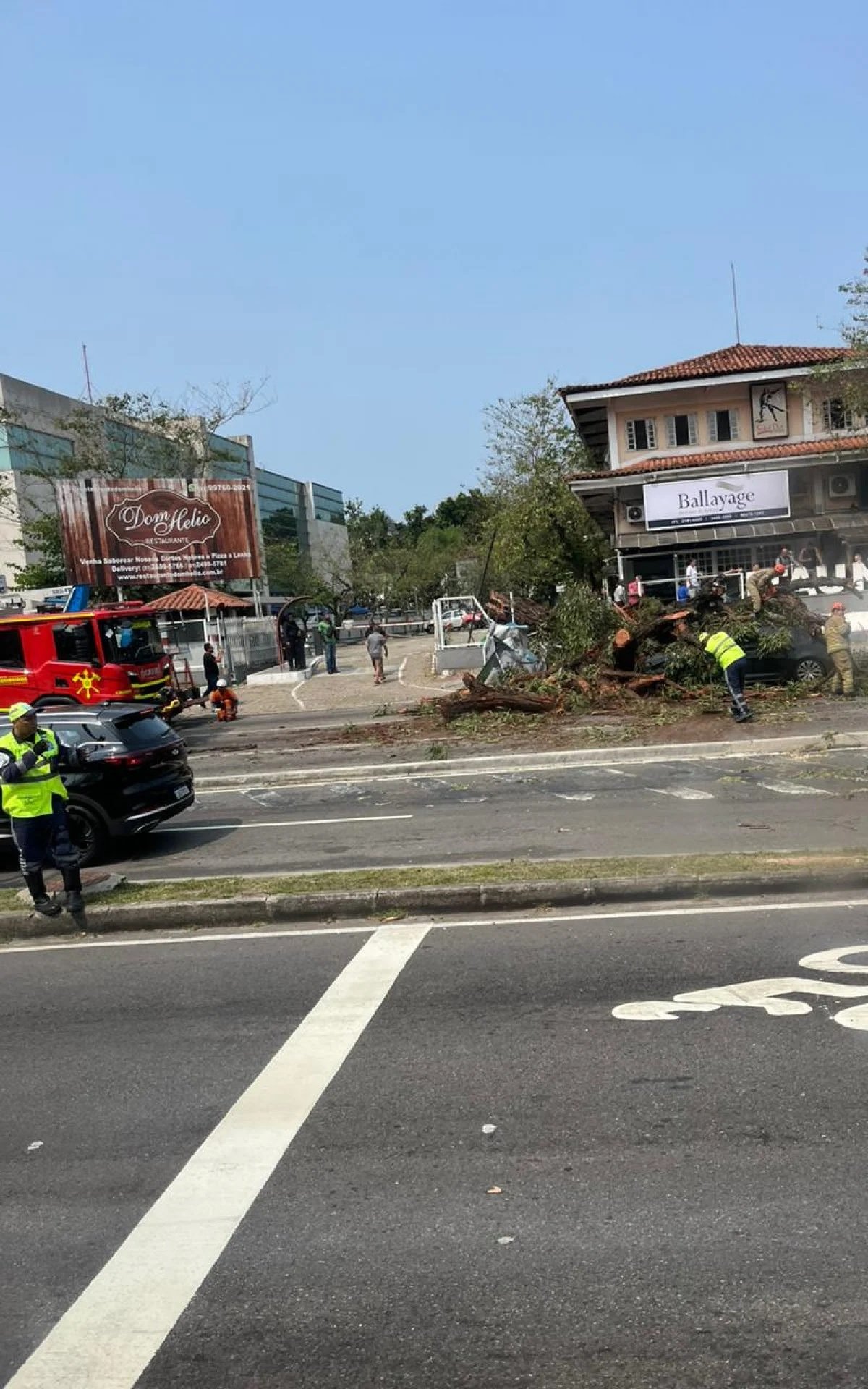 Árvore cai na Avenida das Américas