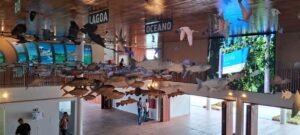 Niterói: Centro Eco Cultural Sueli Pontes inicia programação especial de verão