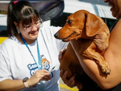 Campanha antirrábica para cães e gatos chega à Zona Norte