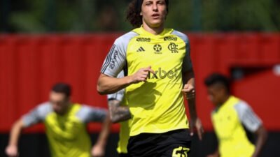 David Luiz fala sobre carreira no Flamengo e futuro