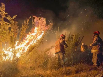 Bombeiros combatem 1.264 focos de incêndio no Estado do Rio