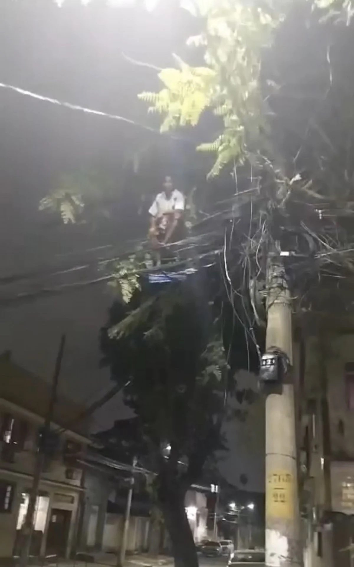 Homem tenta furtar cabos elétricos e é encurralado por moradores - Vídeo