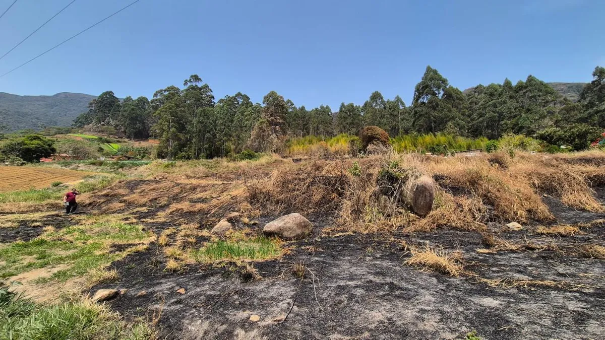 Polícia Civil identifica 34 autores de incêndios criminosos no Rio